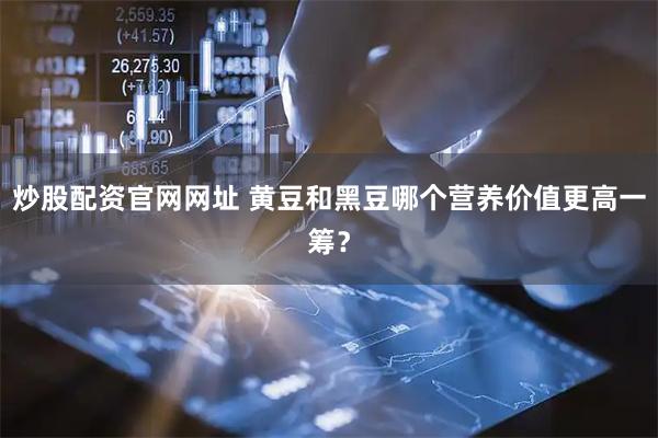 炒股配资官网网址 黄豆和黑豆哪个营养价值更高一筹？